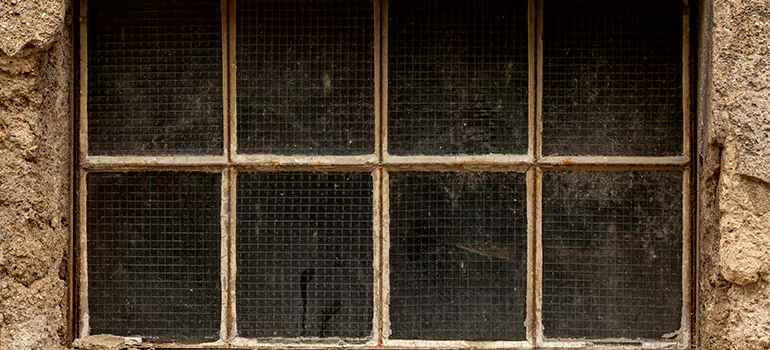 Traditional Double Front Doors in Merritt Island, FL