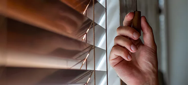 Double Roller Blinds in Merritt Island, FL