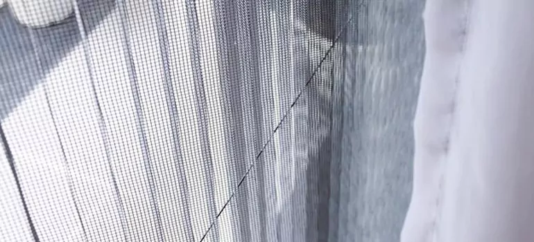 Fixing Screen Window Mesh in Merritt Island, FL