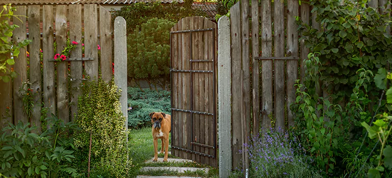 Winter Garden Garage Door Repair in Merritt Island,[location field=state]