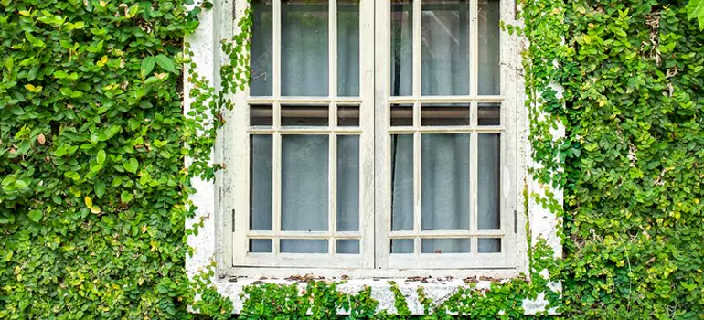 Garden Window Repair Near Me in Merritt Island, FL