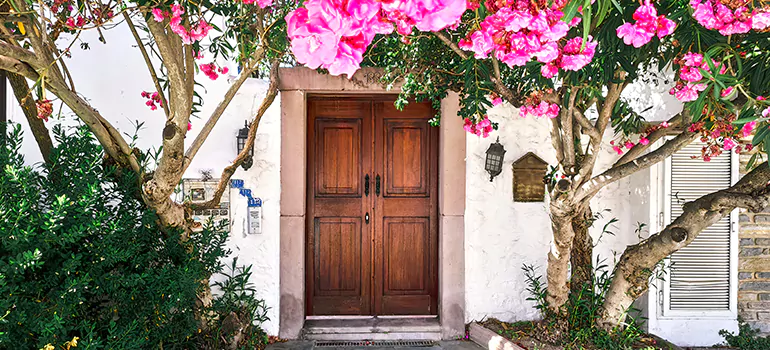 Traditional 4 Panel Internal Doors in Merritt Island, FL