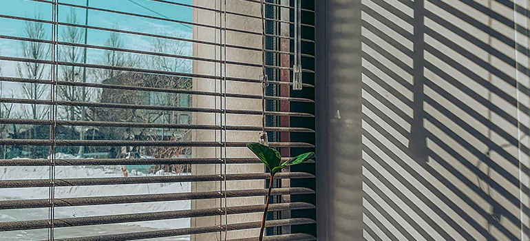 Commercial Window Blinds in Merritt Island, FL