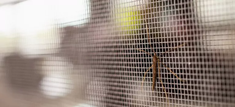 Repair Mosquito Mesh For Windows in Merritt Island, FL